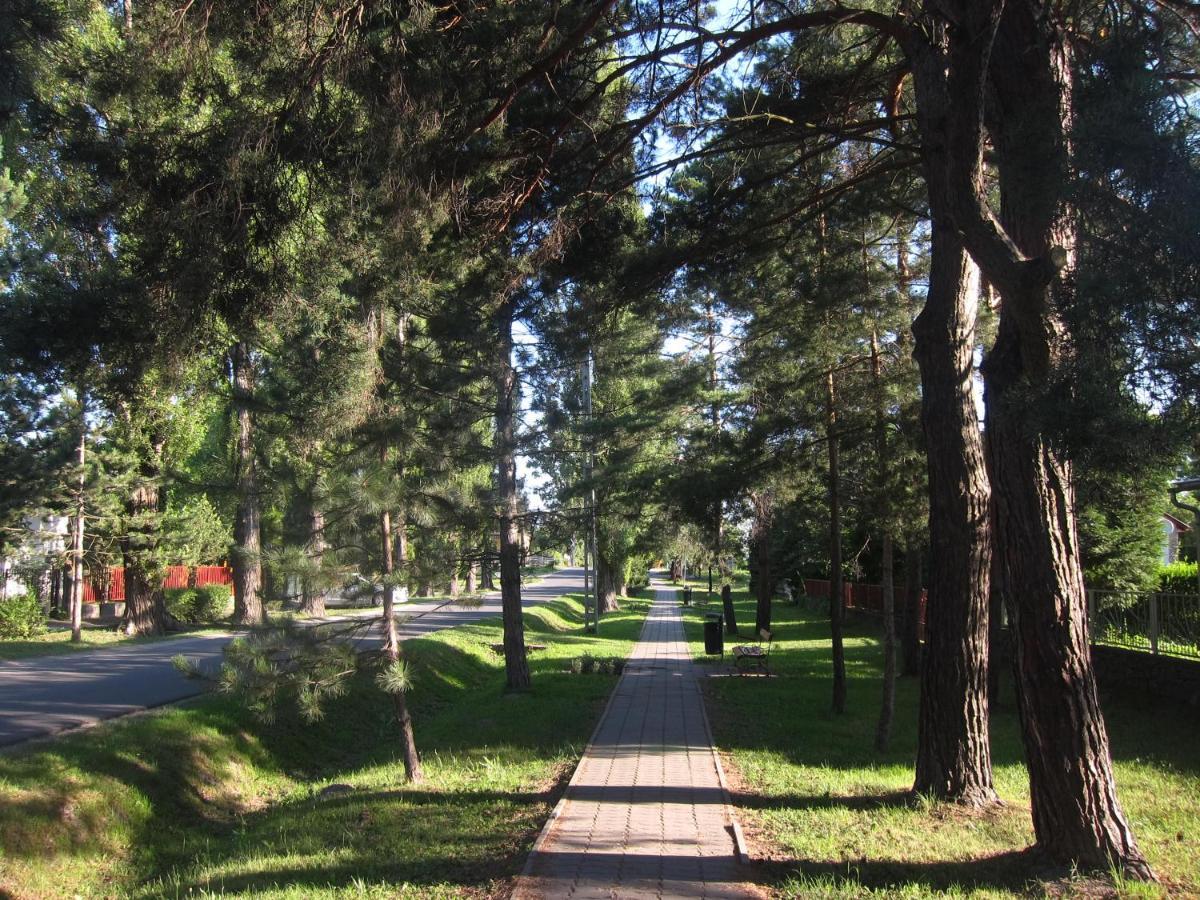 Tutijo Haziko Villa Balatonfenyves Dış mekan fotoğraf